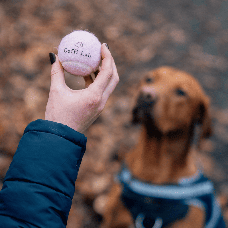 The Lably Gift