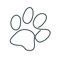 We Support Guide Dogs