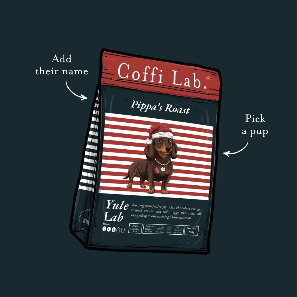 Yule Lab