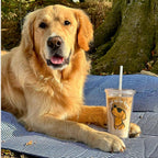 "Cool to be Kind" Tumbler