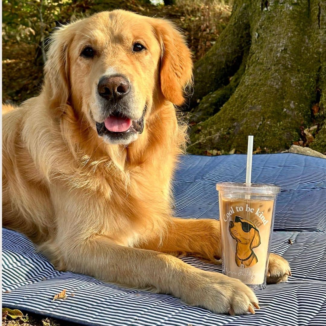 "Cool to be Kind" Tumbler