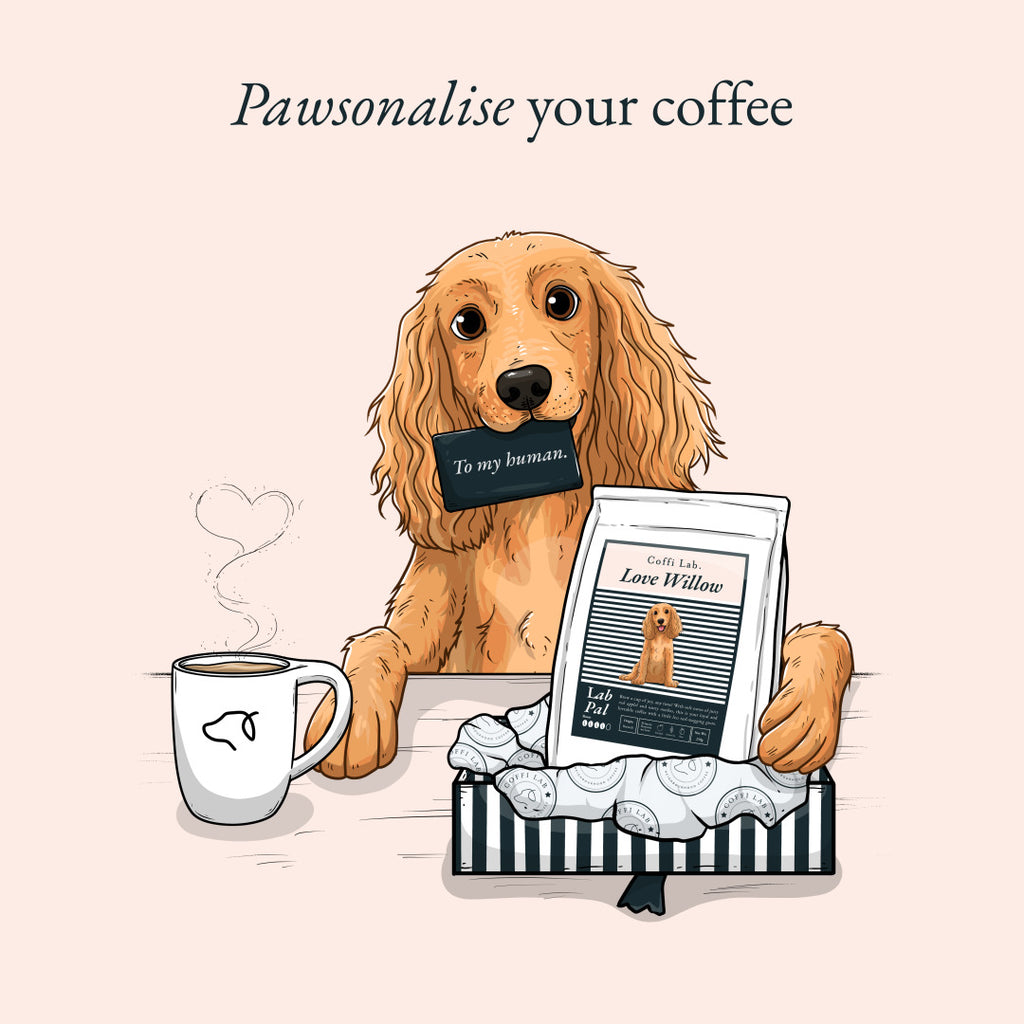 Lab Pal (Decaf)