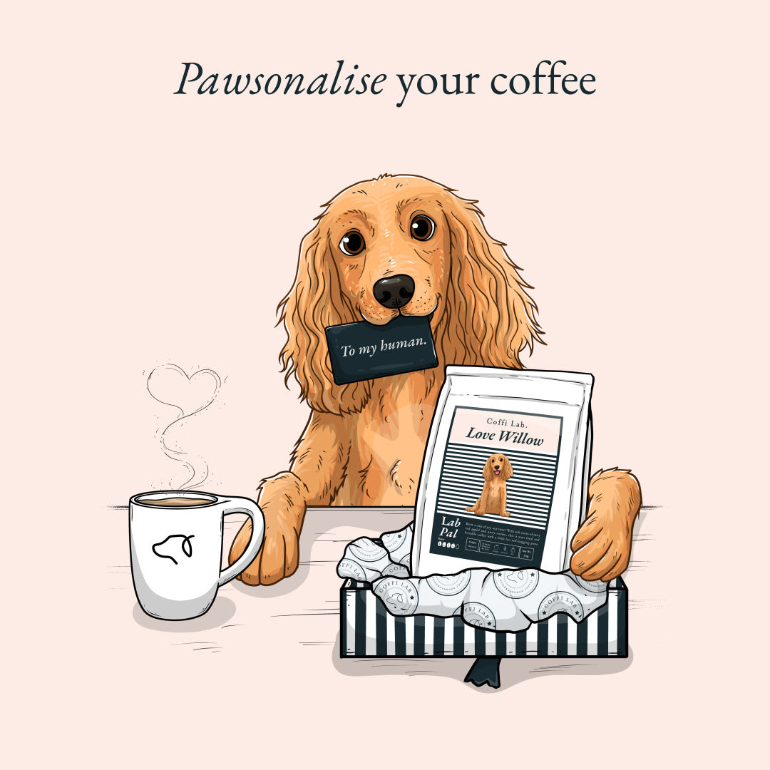 Lab Pal (Decaf)