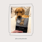 Yellow Lab