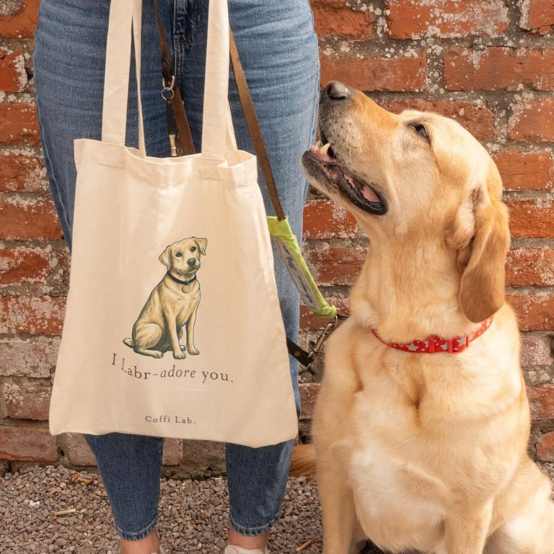A person holds a 39 x 41cm cream-colored “I Labradore you” Tote - Yellow featuring a Labrador illustration, with a yellow Labrador retriever sitting next to them.