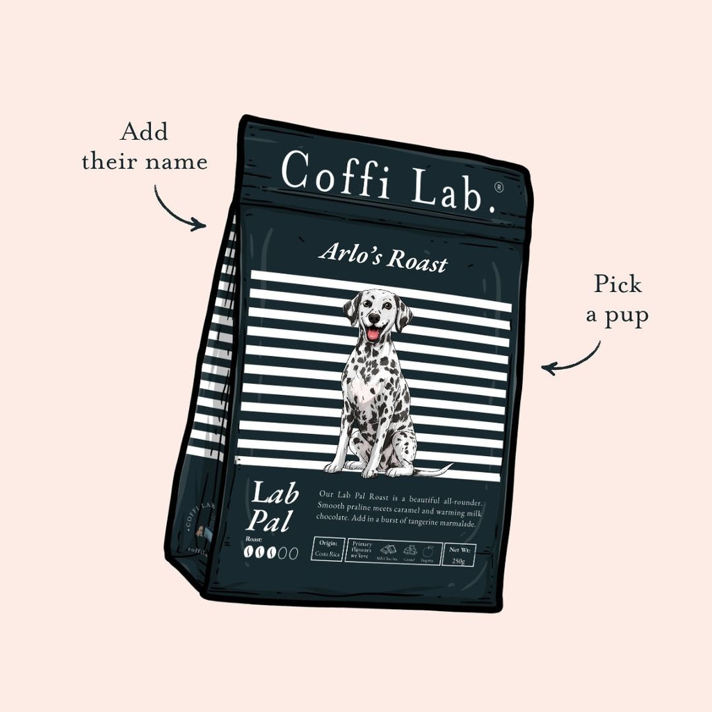 Lab Pal