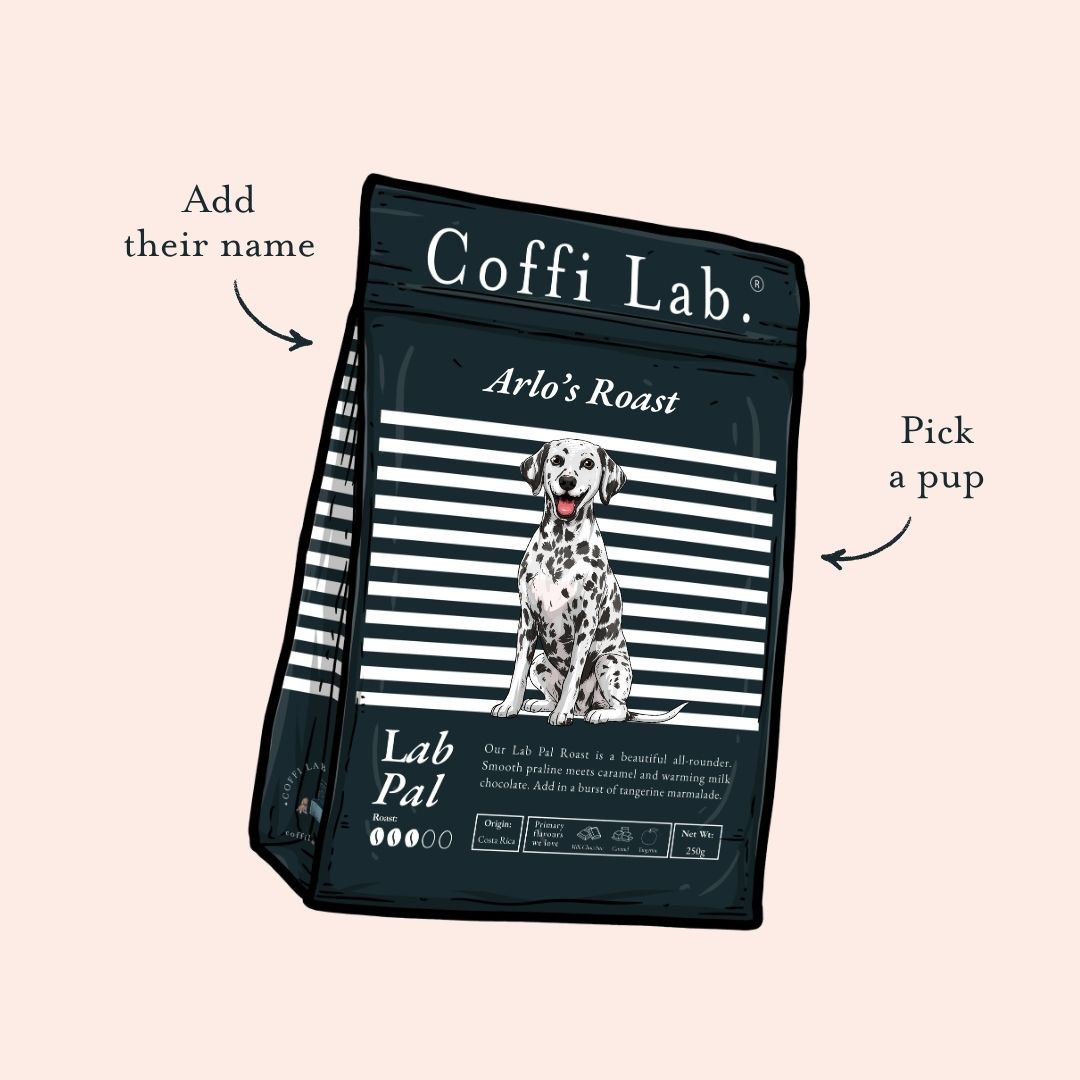 Lab Pal