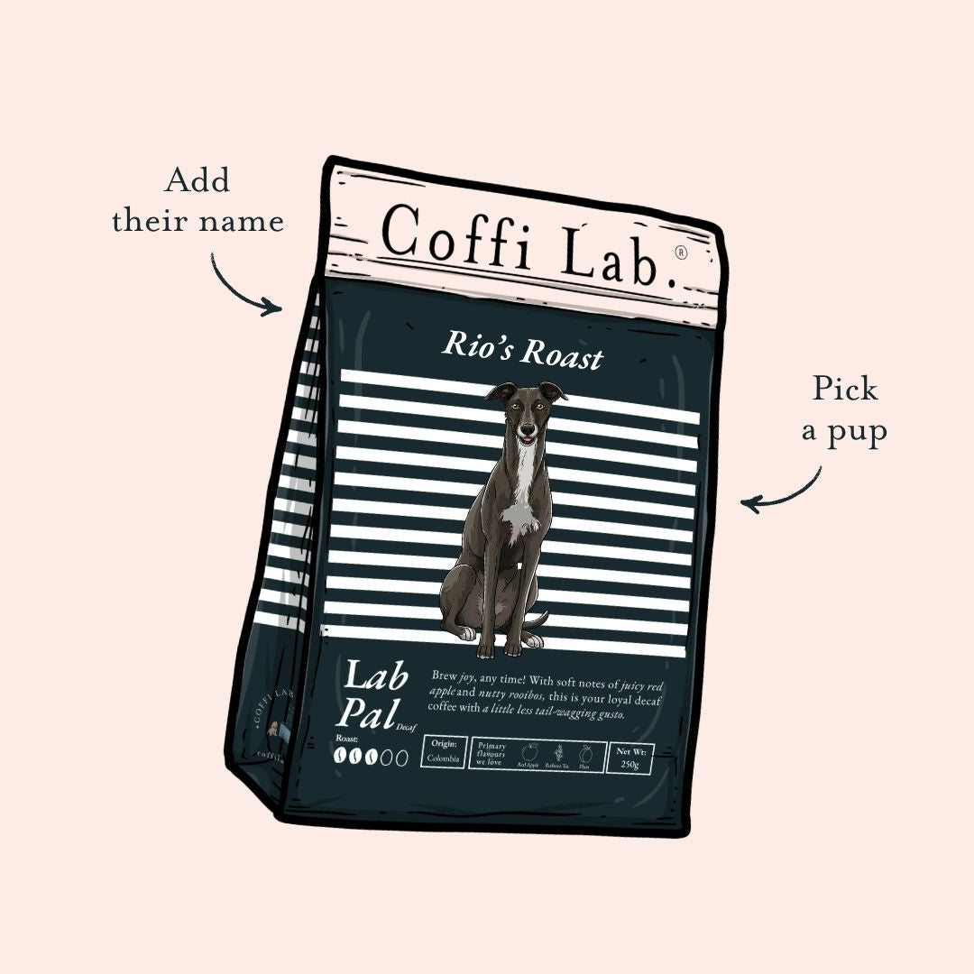 Lab Pal (Decaf)