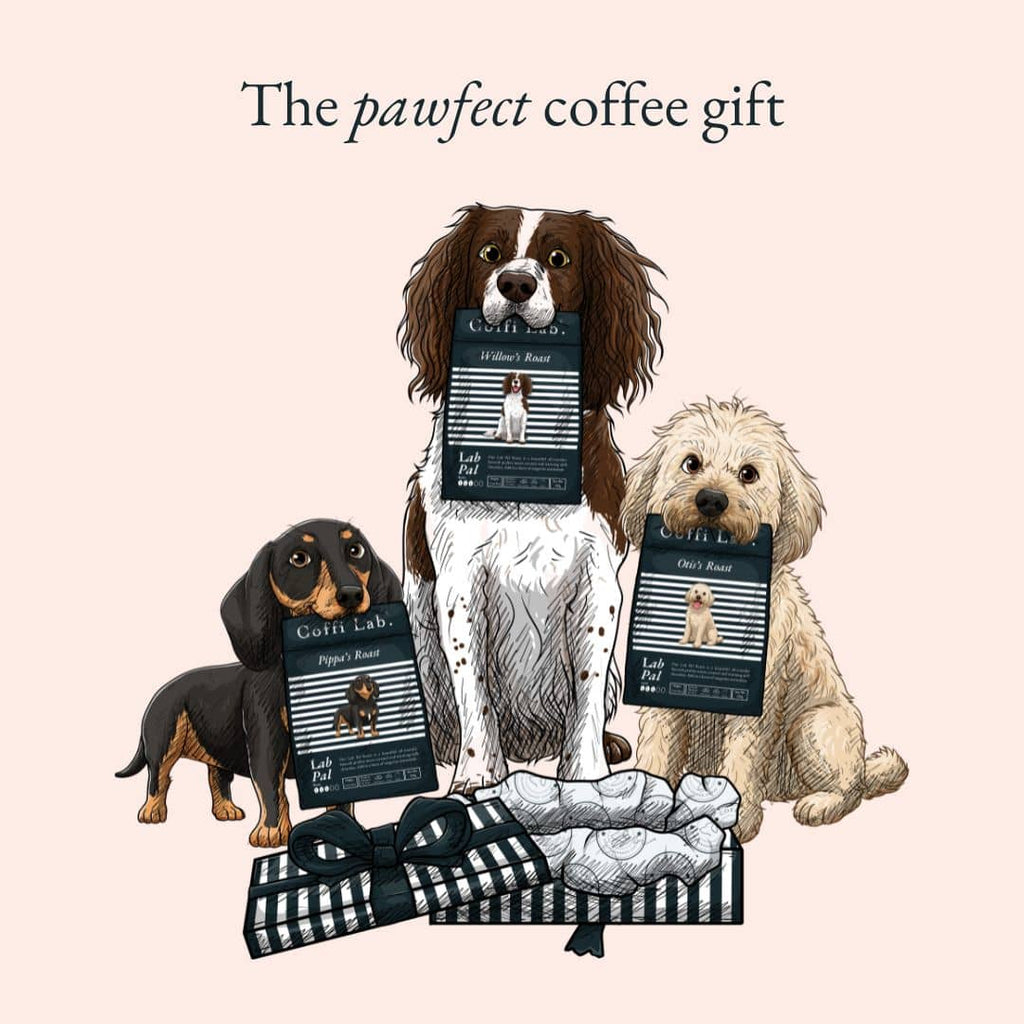 Pawsonalised Gift Subscription