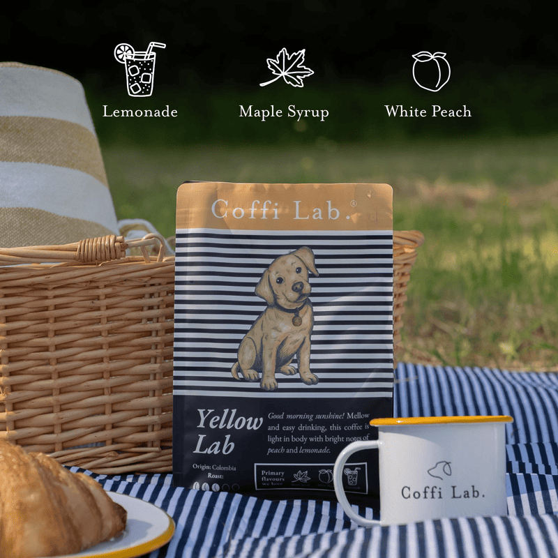 Yellow Lab - Subscription