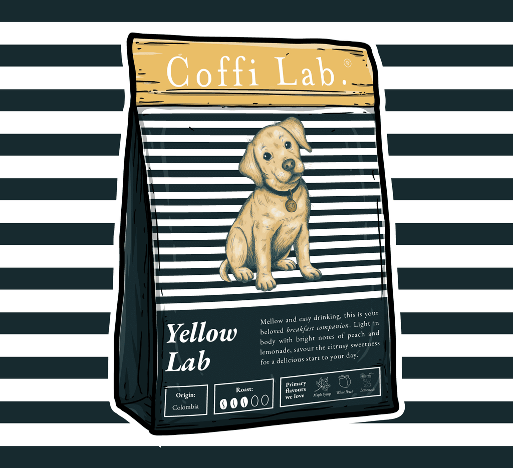 Yellow Lab