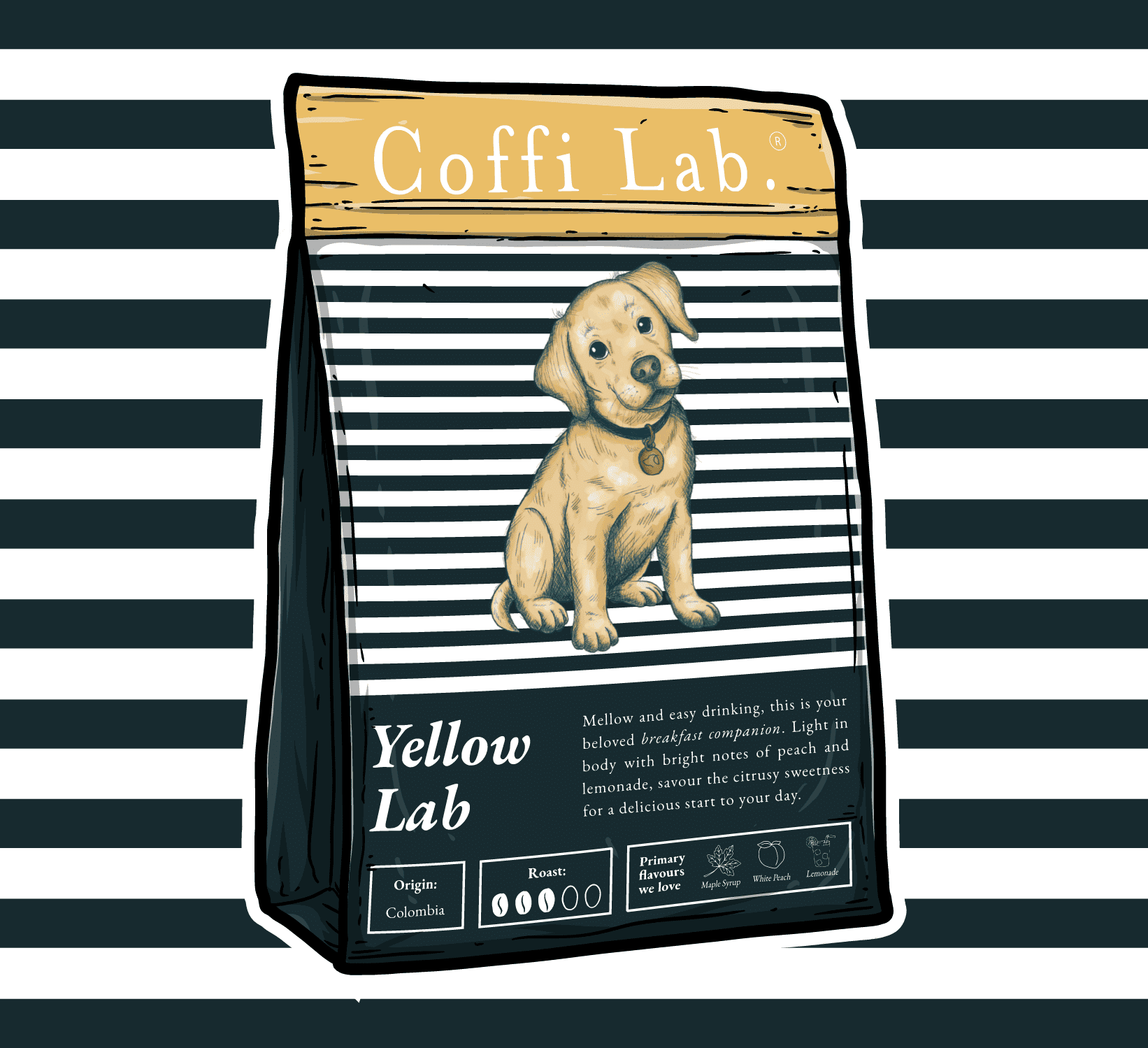 Yellow Lab