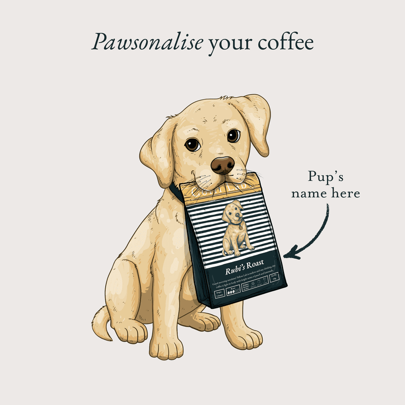 Yellow Lab