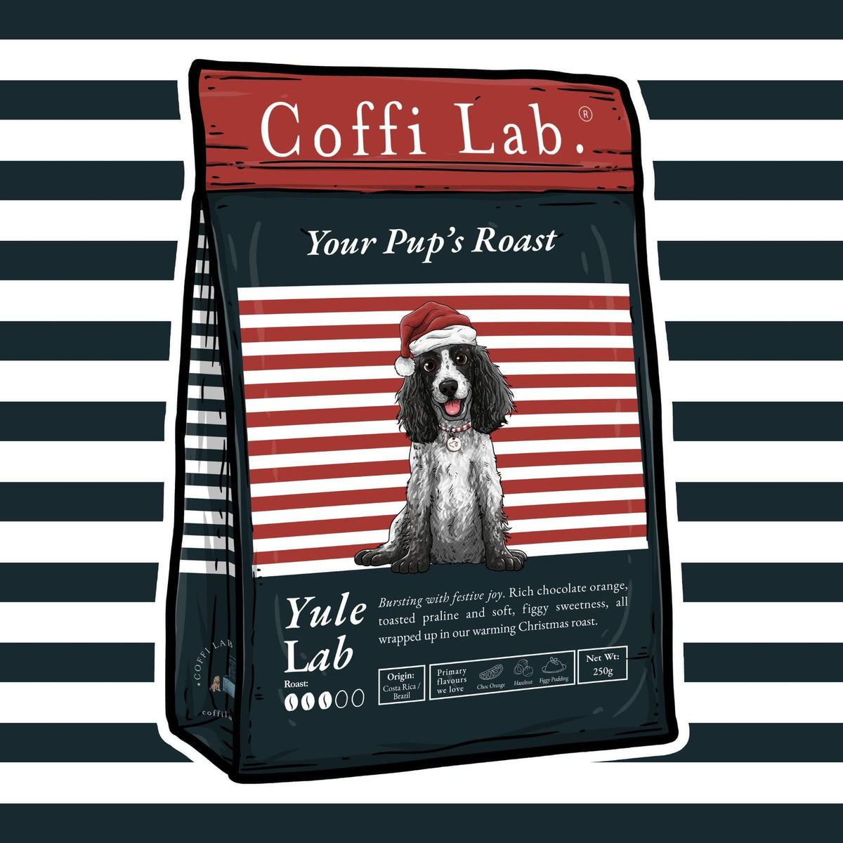 Yule Lab